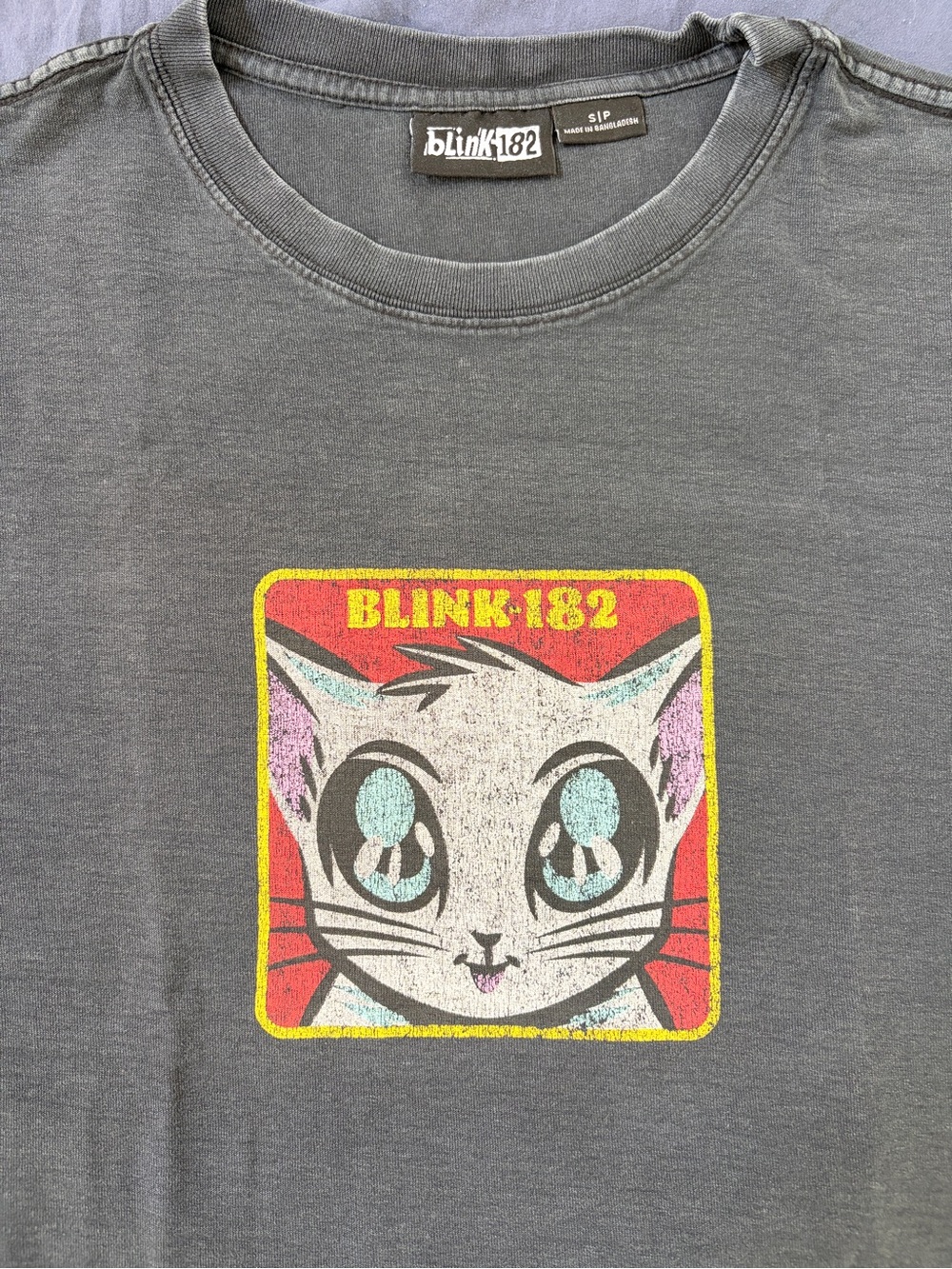 Blink 182 Cat Graphic T-Shirt in Charcoal